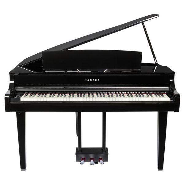 Détail du piano 1